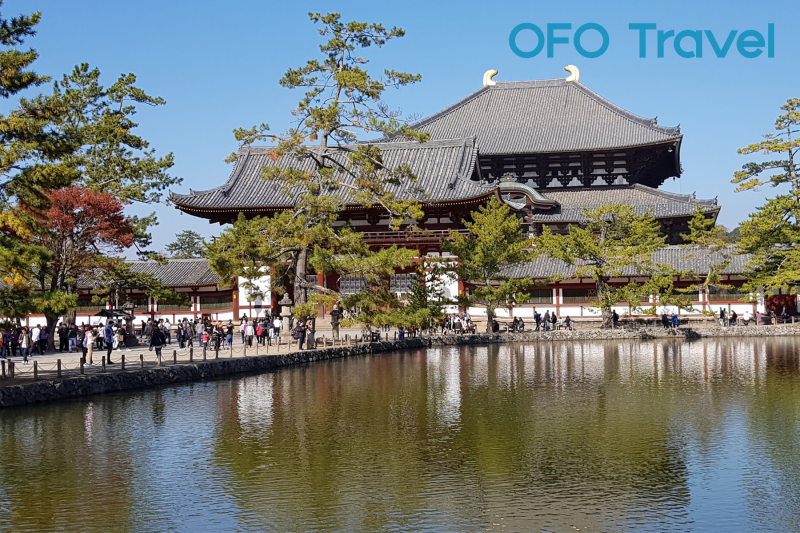 OFO Travel - Tour NAGOYA – OSAKA - KYOTO - TOYOHASHI FUJI –KAWAGUCHI– TOKYO - Day 2 - Todaiji Temple - Big Eastern Temple