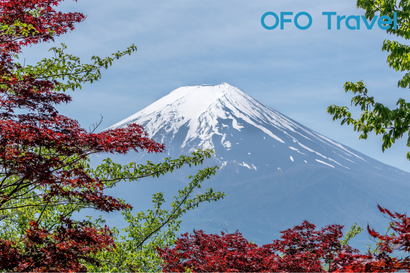 OFO Travel - Tour NAGOYA – OSAKA - KYOTO - TOYOHASHI FUJI –KAWAGUCHI– TOKYO - Day 5 - Mount Fuji